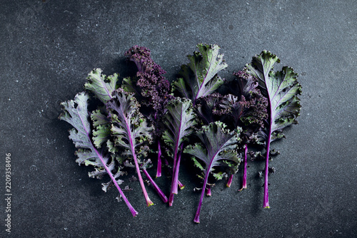 Fresh organic purple kale leaves on dark slate background