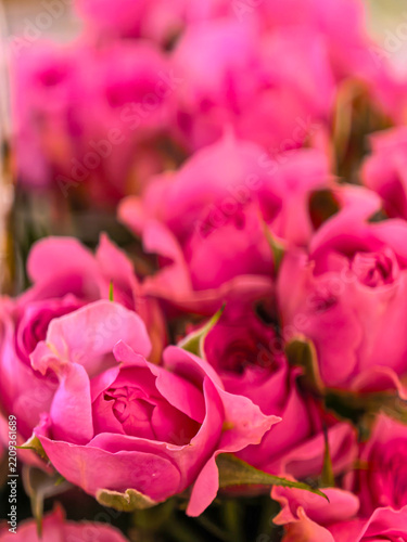 beautiful vertical bouquet of vivid red roses set against a pure white background highlighting the elegance aroma and romantic symbolism of the flowers.