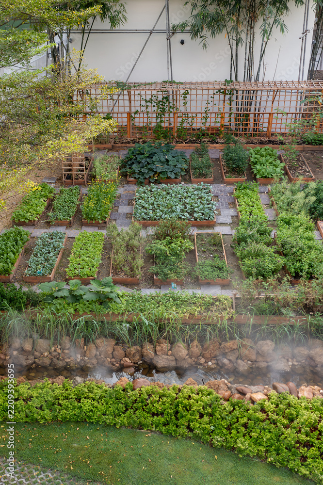 Naklejka premium An overhead view of a well-organized backyard vegetable garden with raised wooden beds and a small misty stream.