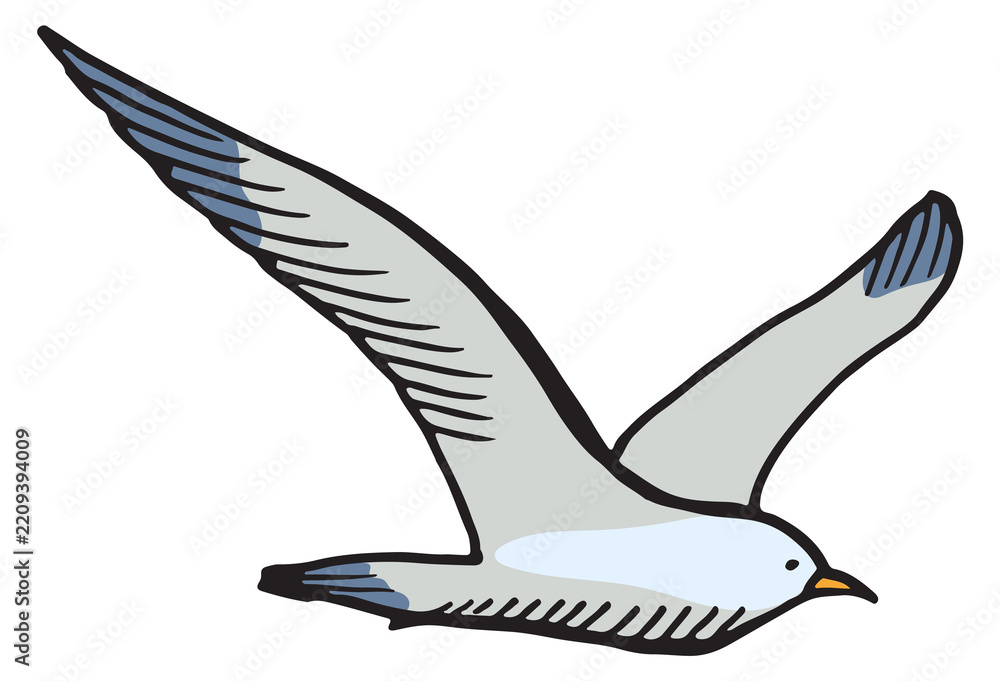 Obraz premium Seagull color sketch. Marine bird. Hand drawn animal
