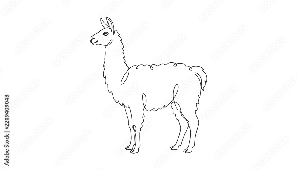 Obraz premium Continuous one single minimal line drawing of a llama