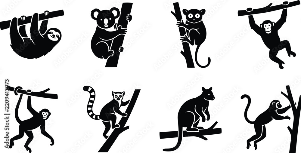 Obraz premium Set of Tropical Animal Icons Climbing and Hanging on Branches, Black Silhouette Vector Illustration Isolated on White Background