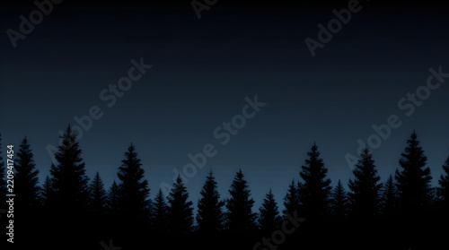 Silhouettes of coniferous pine trees against a dark night sky at dusk with silhouette