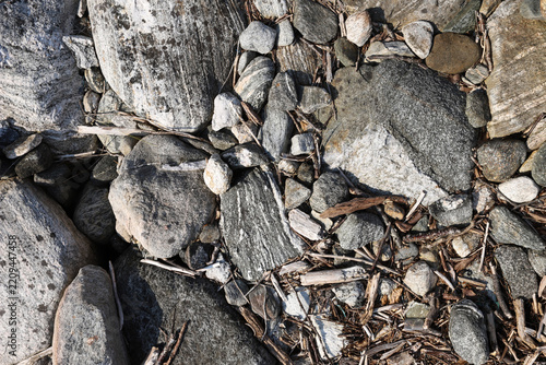 Natural stone texture of weathered granite rocks and driftwood pieces. Top view of rough coastal rocks, grey bedrock, granite stones and dry wood elements on the shore of a norwegian fjord.