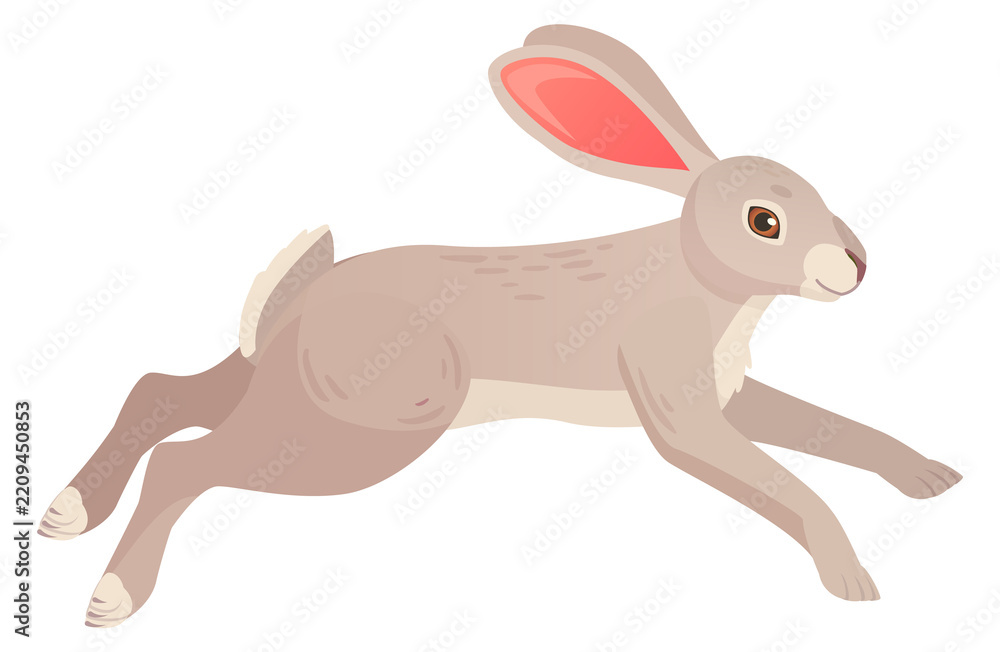 Obraz premium Hare running. Wild rabbit in nature. Forest animal