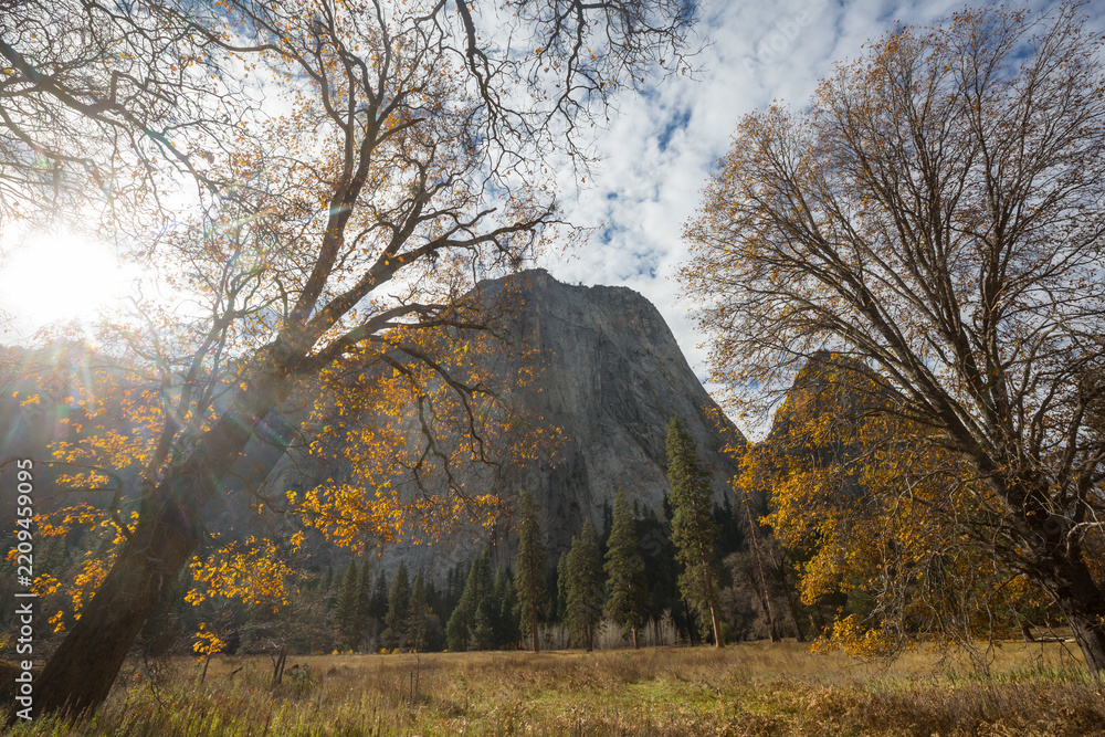 Obraz premium Autumn in Yosemite