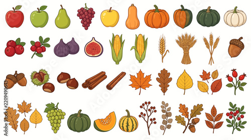 Autumn Harvest and Retail Signage Vector Elements Set with Pumpkins, Fruits, Seasonal Leaves, and Vegetables