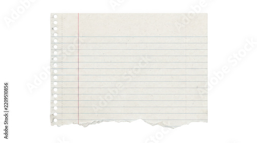 A torn piece of lined paper isolated on transparent background