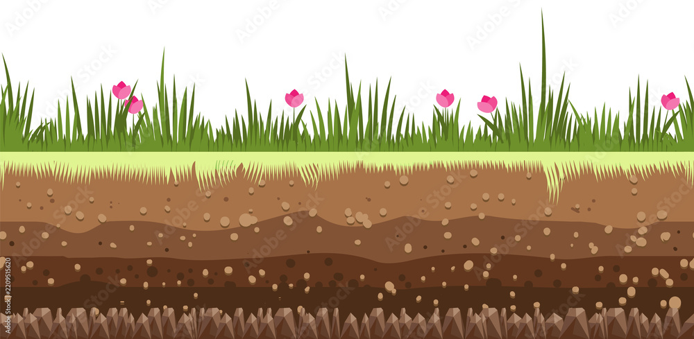 Obraz premium Meadow soil layers. Nature field underground environment