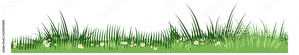 Obraz premium Grassland seamless ground. Growing grass field lawn
