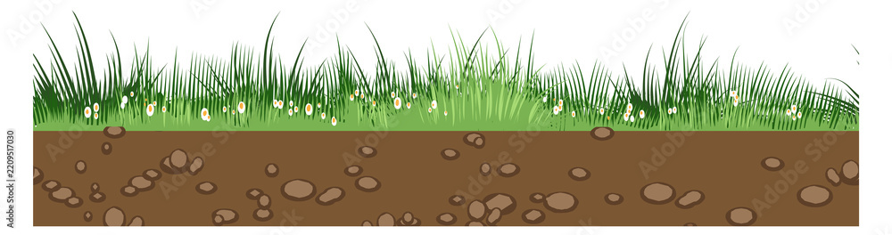 Obraz premium Grassland seamless ground. Cartoon game floral surface
