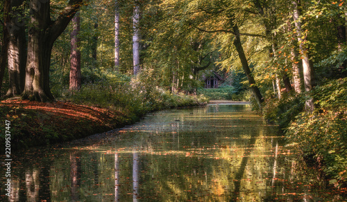 Calm forest canal reflecting autumn trees