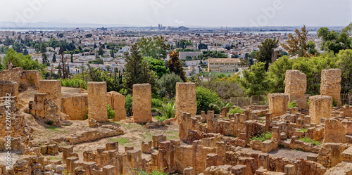 Panoramic View of Ancient Punic Quarter Ruins at Carthage Overlooking Tunis Cityscape
