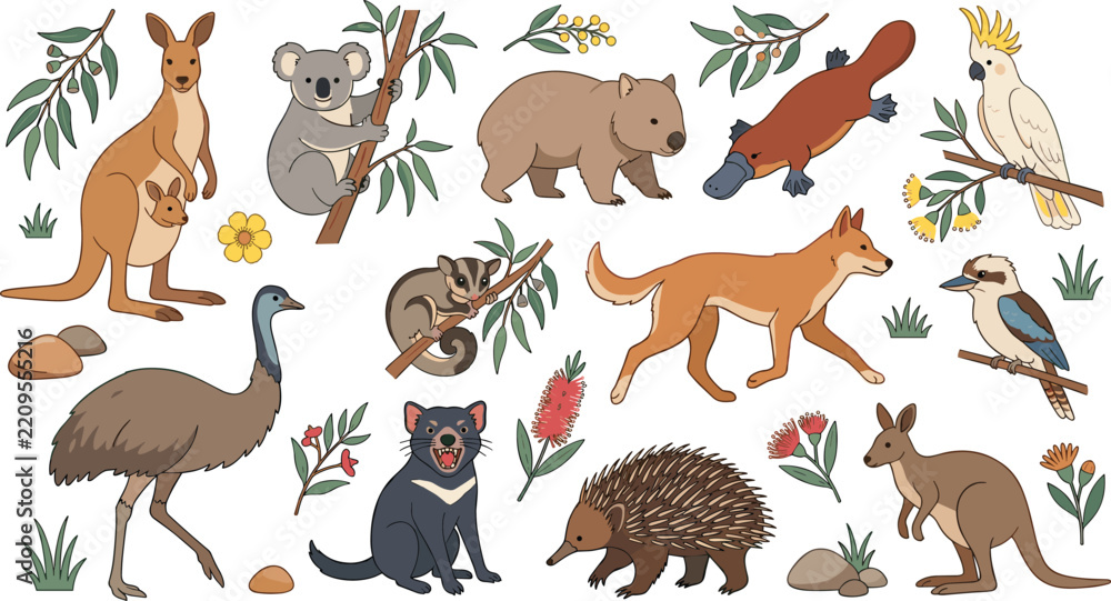 Obraz premium Collection of australian native animals and flora featuring kangaroo, koala, wombat, platypus, and cockatoo species
