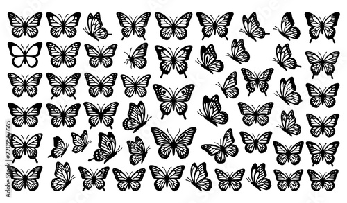 50 Quality Butterfly Silhouette Vector Icons Set with Elegant Wing Shapes and Nature Symbols