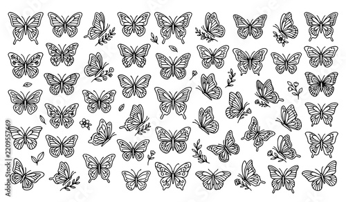 50 Quality Butterfly Outline Vector Icons Set with Linear Wing Designs and Botanical Nature Elements