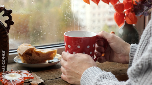 Woman drinking tea by window on rainy autumn day. Fall vibes. 