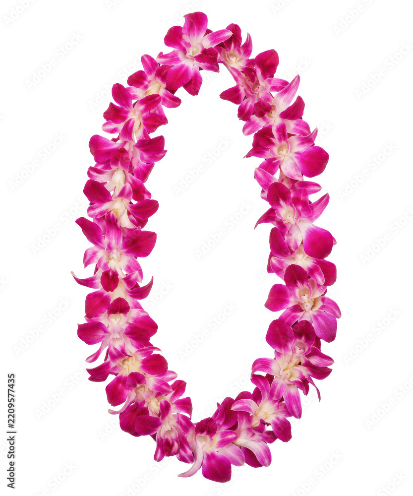 Fototapeta premium Beautiful vibrant pink and white orchid lei, a traditional Hawaiian flower garland, isolated on a clean white background