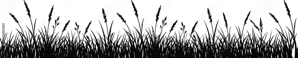 Obraz premium Seamless black silhouette of meadow grass and wild wheat stalks for nature border design concepts.