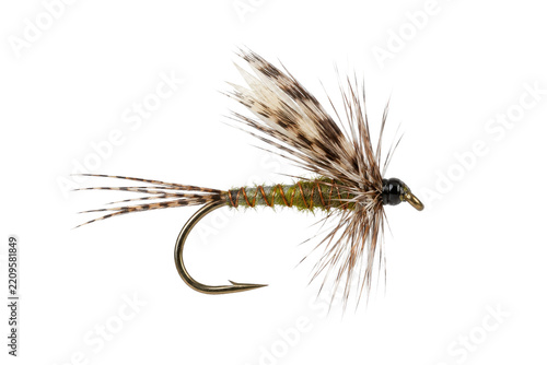 Meticulously crafted green and brown artificial fly fishing lure with feathers and a gold hook, isolated on a clean white background