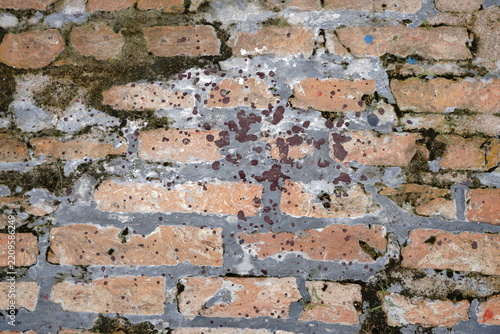 Obraz na plátně Weathered brick wall with peeling paint and moss growth