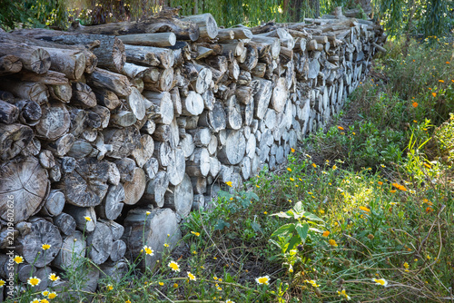 Chopped firewood in logs in a long stacked pile. Oustide among wildflowers and grass.