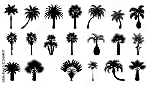 Silhouette Palm Trees Collection: A diverse collection of black silhouette palm tree icons showcases various species and growth forms, perfect for graphic design projects.
