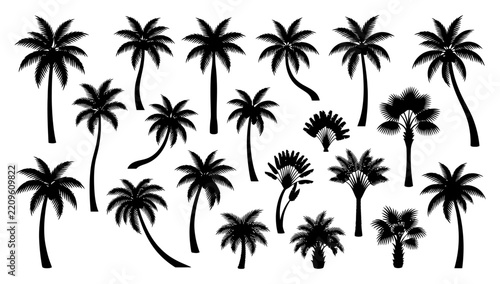 Palm Tree Silhouettes Collection