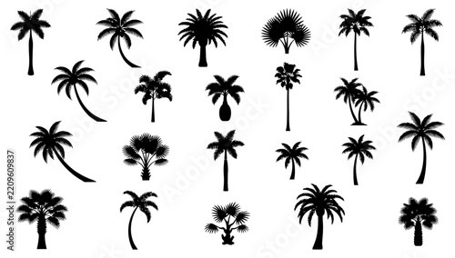 Set of Palm Trees Silhouettes: A diverse collection of stylized palm tree silhouettes, showcasing various shapes and sizes, perfect for tropical design elements.