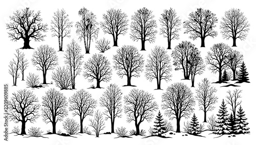 Bare Tree Silhouettes: A collection of diverse tree silhouettes, captured in a stark, graphic style.