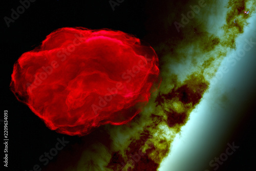 Manatee Nebula Supernova Remnant - The Manatee Nebula (also cataloged as Westerhout 50 or W50) is a massive Type II supernova remnant located roughly 18,000 light-years away in constellation Aquila.