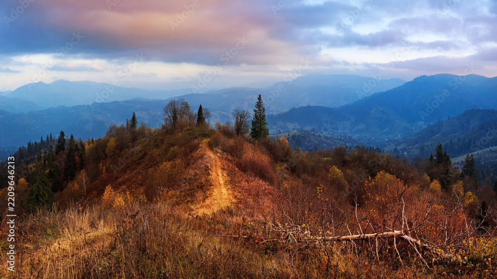 Obraz premium Beautiful autumn view in the last rays of the setting sun of a hiking trail and forested Carpathian Mountains in Ukraine, Lviv region, near the village of Slavsko.