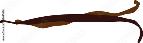 vector illustration of vanilla