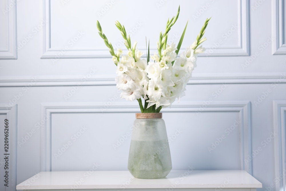 Fototapeta premium Beautiful gladiolus flowers in vase on cabinet near white wall indoors