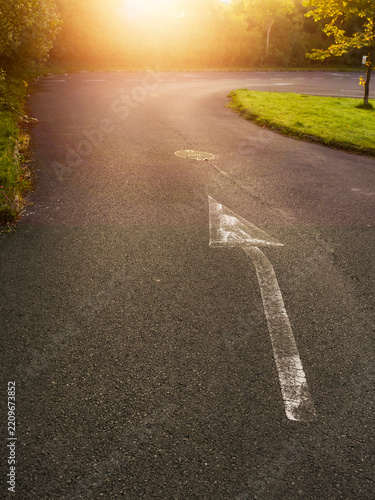 White arrow painted on dark asphalt road surface, points to a sunny nature background. Paint appears worn and cracked near base. Image suggests guidance, travel, or pathfinding