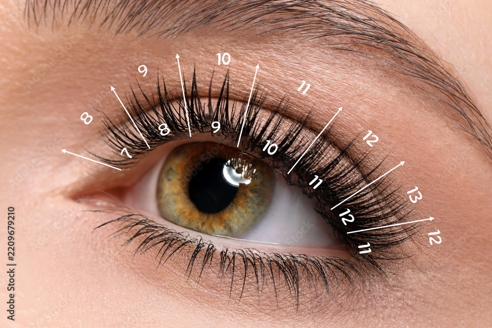 Obraz premium Woman with lash mapping, closeup. Eyelash extensions