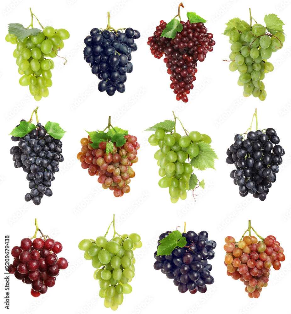 Obraz premium Fresh grapes. Bunches of different varieties isolated on white, set