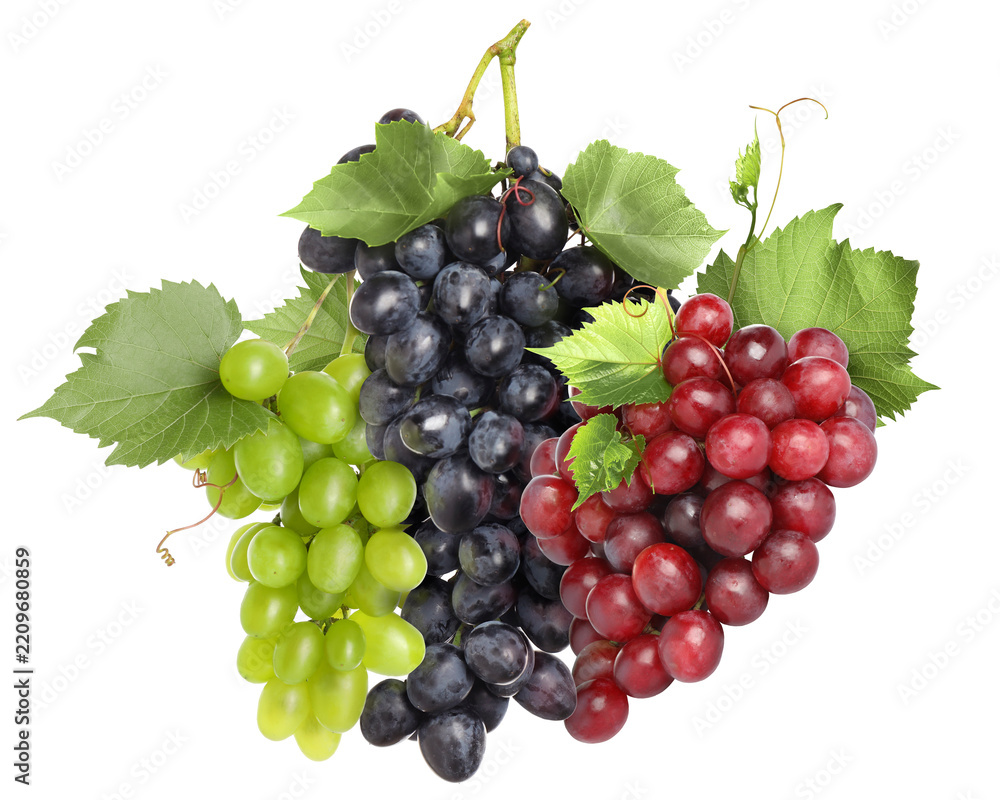 Obraz premium Grapes of different varieties isolated on white