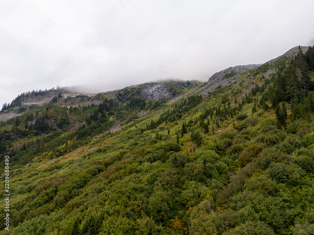 Fototapeta premium Foggy Green Mountainside With Lush Forest and Misty Ridge in British Columbia, Canada