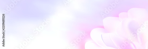 Soft pink flower petal on blurred pastel purple spring floral background.