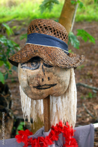 Hawaiian Scarecrow