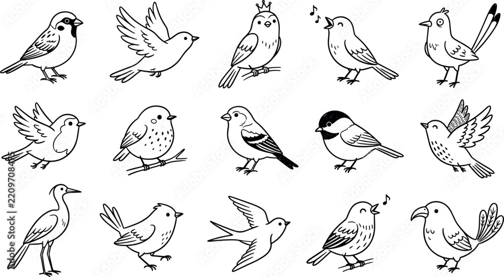 Obraz premium Hand Drawn Cartoon Bird Line Art Vector Set with Whimsical Characters for Kids Coloring Books, Stickers, School Craft Projects, and Nursery Designs