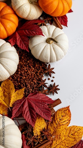 a collection of pumpkins, autumn leaves, and spices. The pumpkins are orange and white, and the leaves are a mix of red, yellow, and orange hues. The spices include cinnamon sticks and star anise.