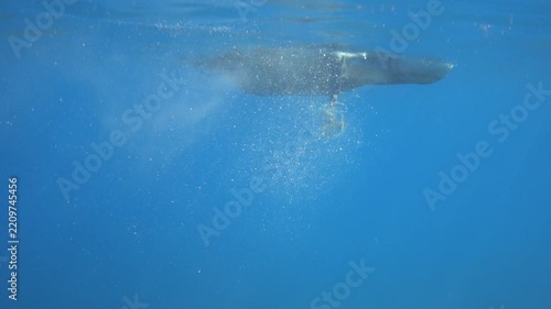 Propeller of a boat motor rotates underwater