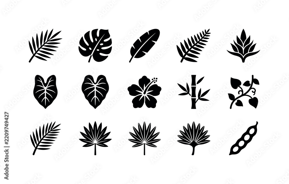 Obraz premium Exotic Leaf Variety, solid glyph icon set featuring palm frond, monstera, banana leaf, fern, caladium, philodendron, tropical blossom, bamboo sprig, vine, coconut leaf, leaf fan and seed pod, covering