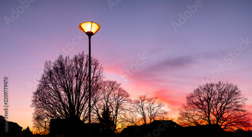 Photography Prague Street Lamp and Trees Silhouetted Against Autumn Sunset