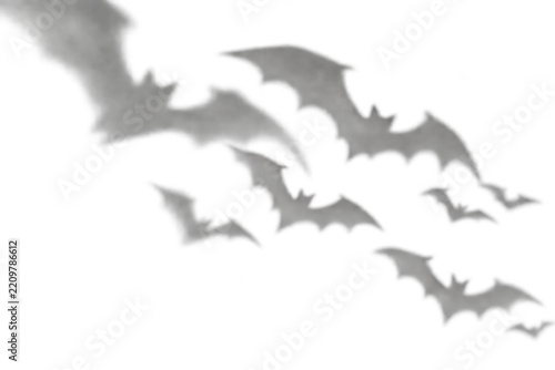 Soft flying bat shadow overlay isolated on transparent background