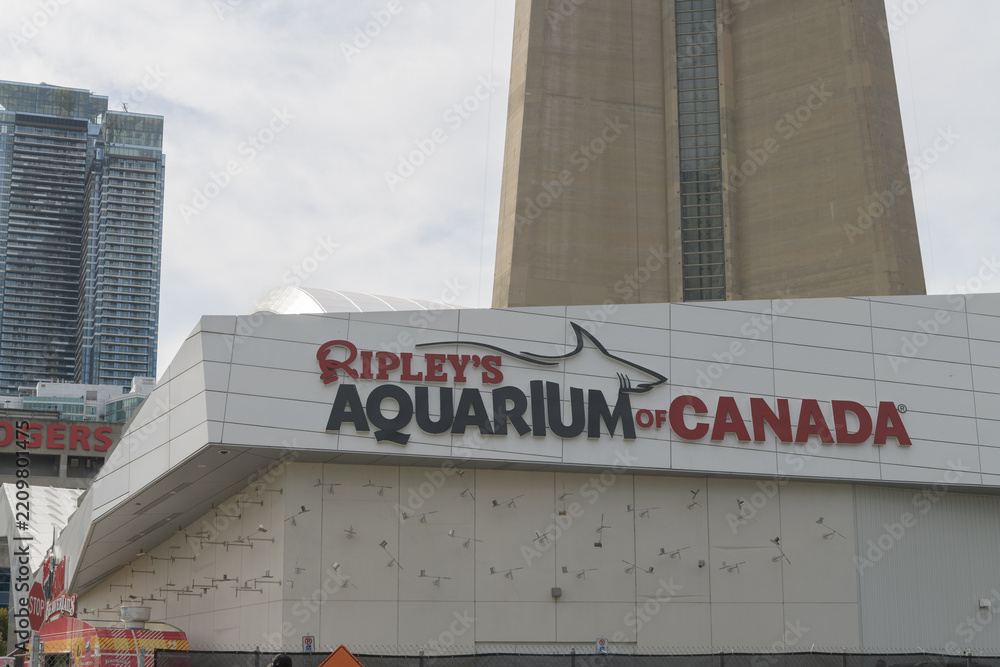 Obraz premium close-up of sign on the exterior of Ripley's Aquarium of Canada, 288 Bremner Blvd, Toronto