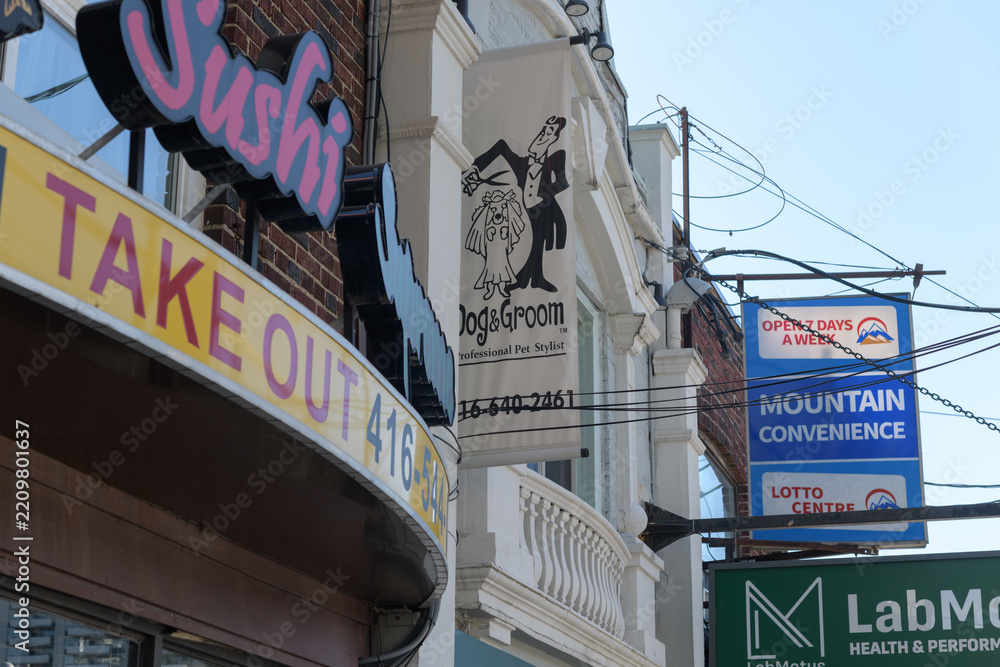 Obraz premium business signage on Mount Pleasant Road, Toronto (Sushi Supreme, Dog & Groom, LabMotus Health & Performance Clinic, Mountain Convenience)
