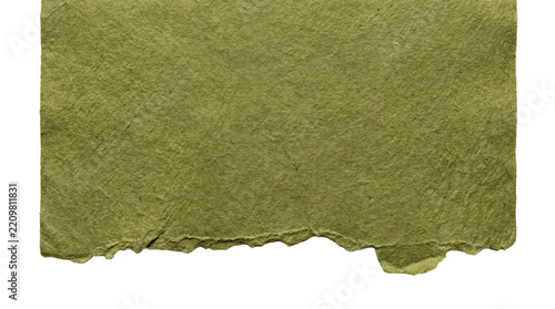 Textured green ripped paper with torn bottom edge on png background